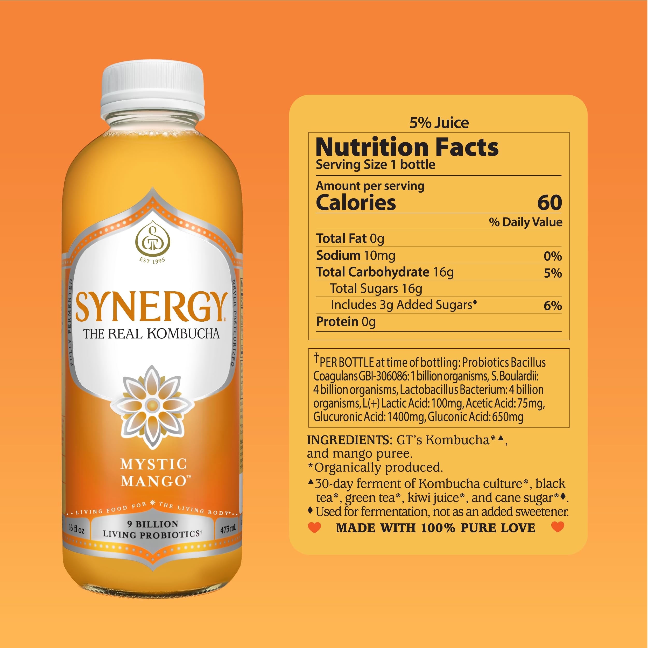 SYNERGY The Real Kombucha - Mystic Mango - 16 fl oz Bottle - Raw Probiotic Drink for Gut Health and Immune Support