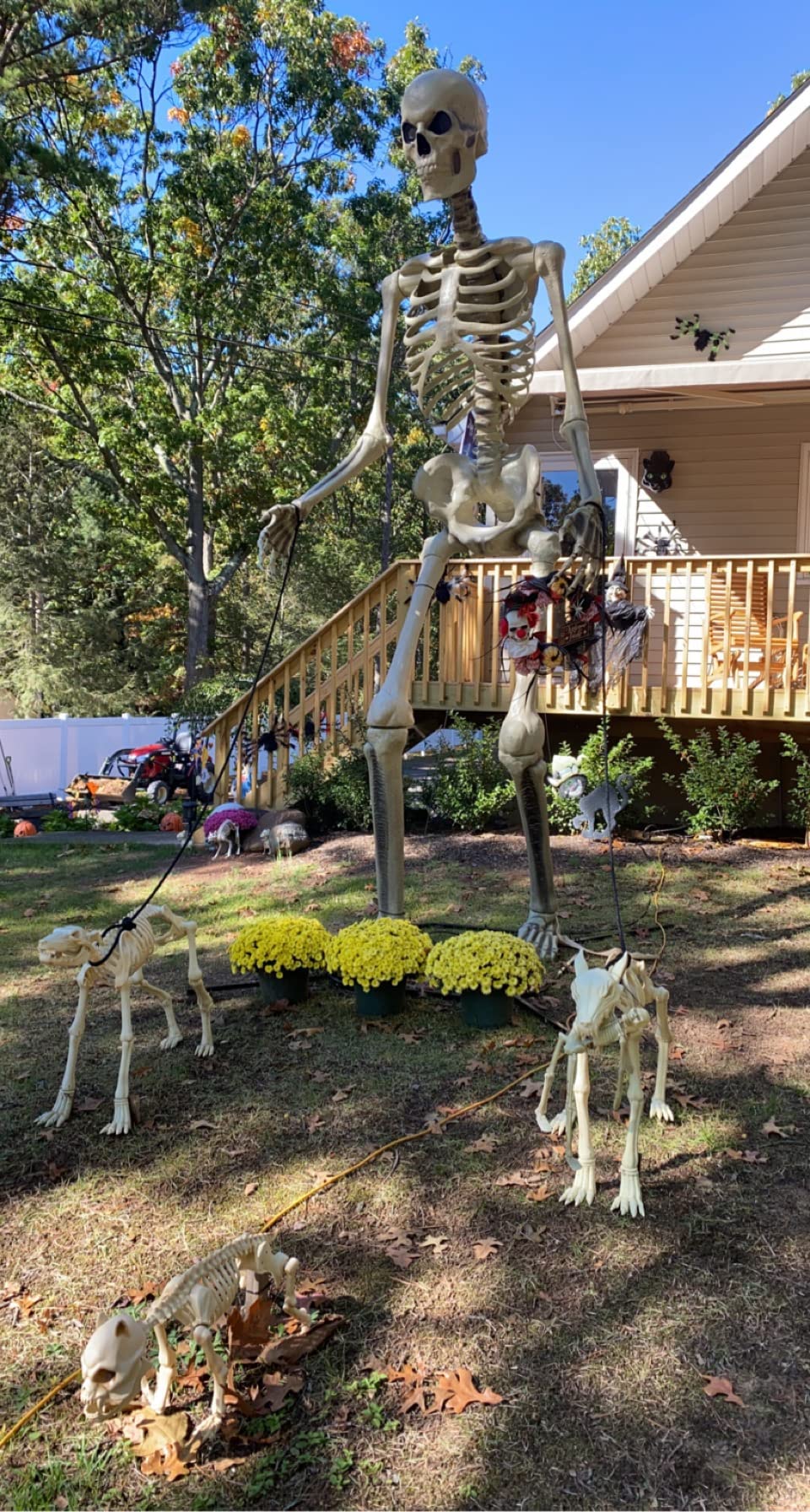 49/mo Finance Home Accents 12 ft. GiantSized Skeleton with LifeEyes Buy Now, Pay Later