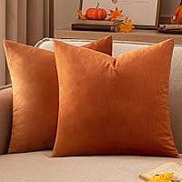 Vista 59 de EMEMA Paquete de 2 fundas de almohada de terciopelo, decorativas, cuadradas, suaves, sólidas, para sofá, dormitorio, silla o automóvil, 18 x 18 Gris