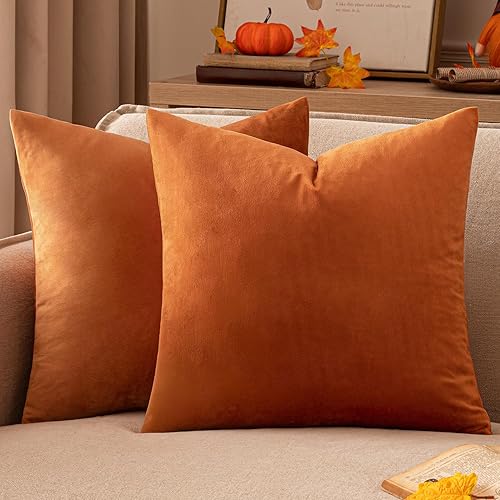 Miniatura 59 de EMEMA Paquete de 2 fundas de almohada de terciopelo, decorativas, cuadradas, suaves, sólidas, para sofá, dormitorio, silla o automóvil, 18 x 18 Gris