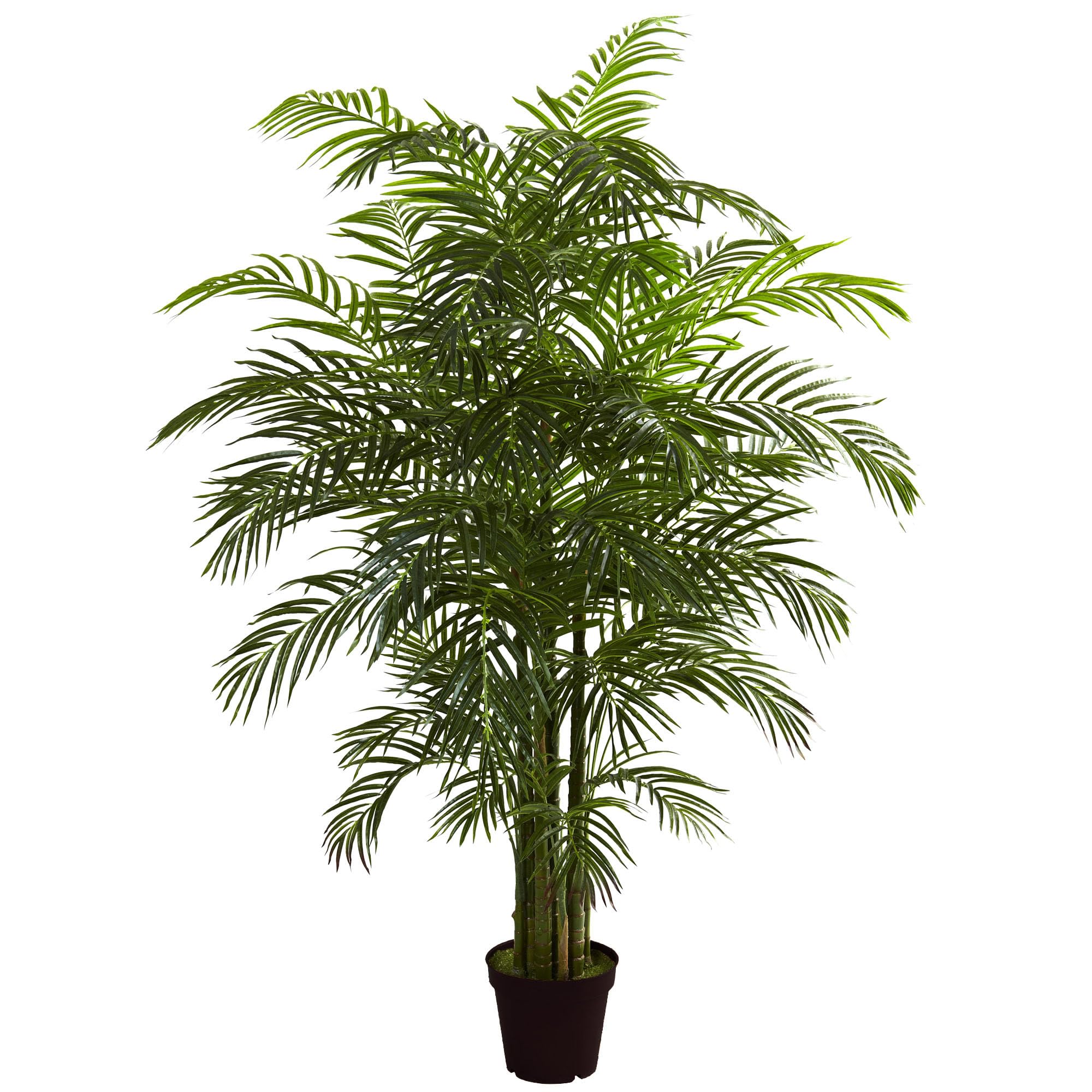 Amazon.com: Nearly Natural 6.5ft Artificial Areca Palm Tree, UV Resistant  (Indoor/Outdoor) : Home & Kitchen
