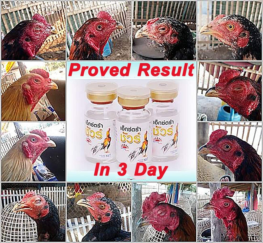EXTER Sure Rooster Booster Health Vitamin Support Fast Result, Stimulates & Improved Immunity Feed Nourishing Poultry (EXTER Sure Increasing Fast Energy 10 ML.)