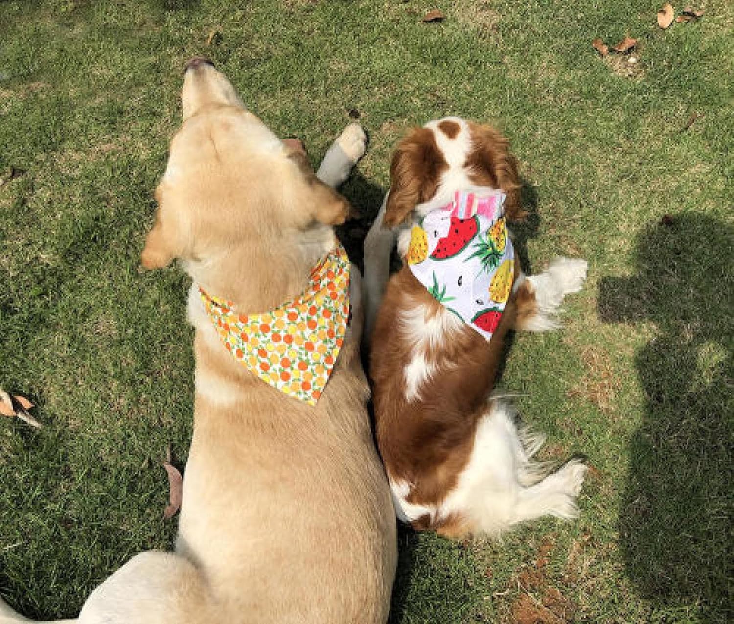 Bandanas For Dogs Dog Cat Bandanas Scarf Adjustable Baby Dogs Cats Bibs Triangular Bow Ties Pet Grooming Accessories 50Pcs D S