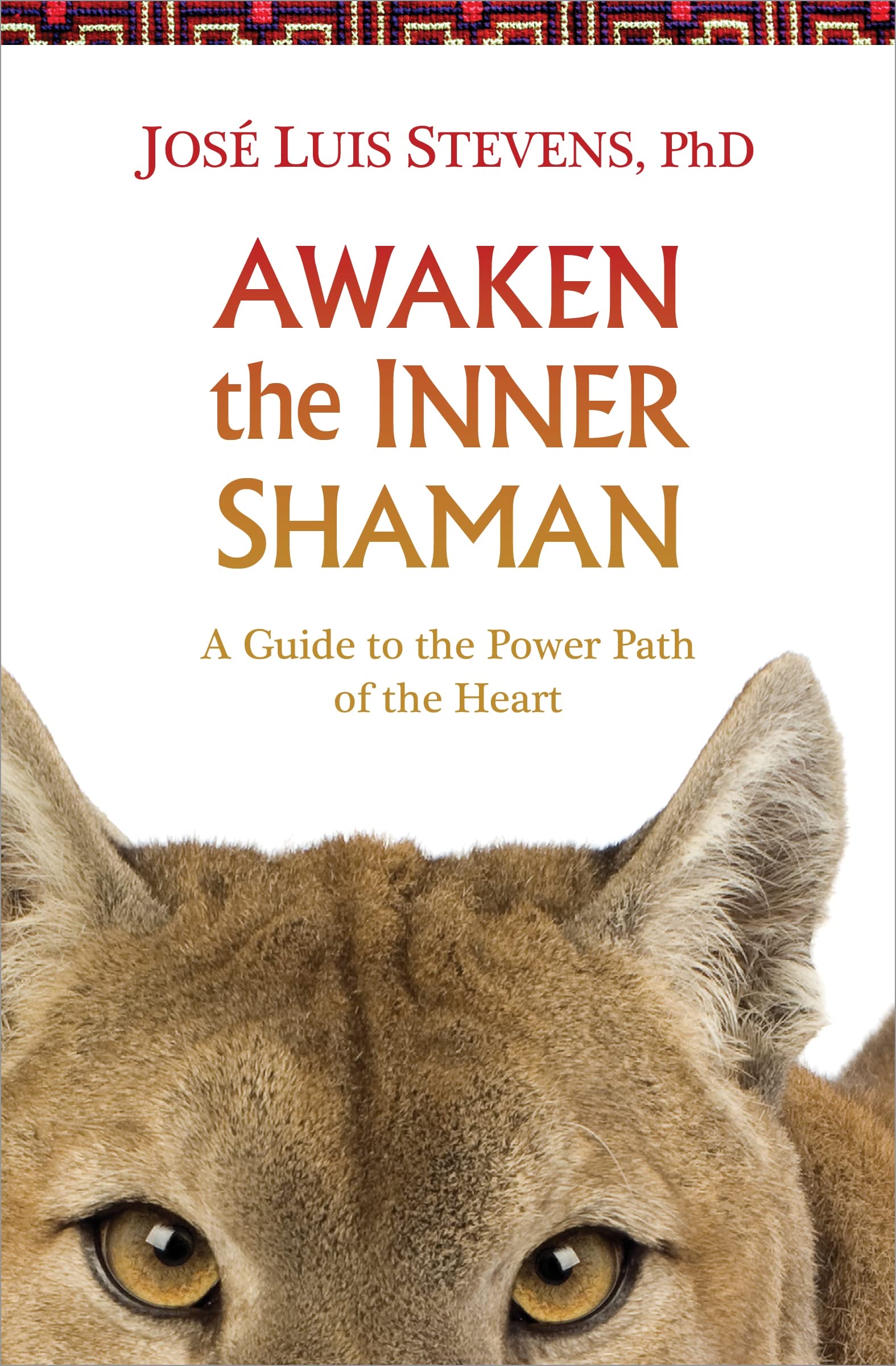 Awaken the Inner Shaman: A Guide to the Power Path of the Heart Paperback – March 1, 2014