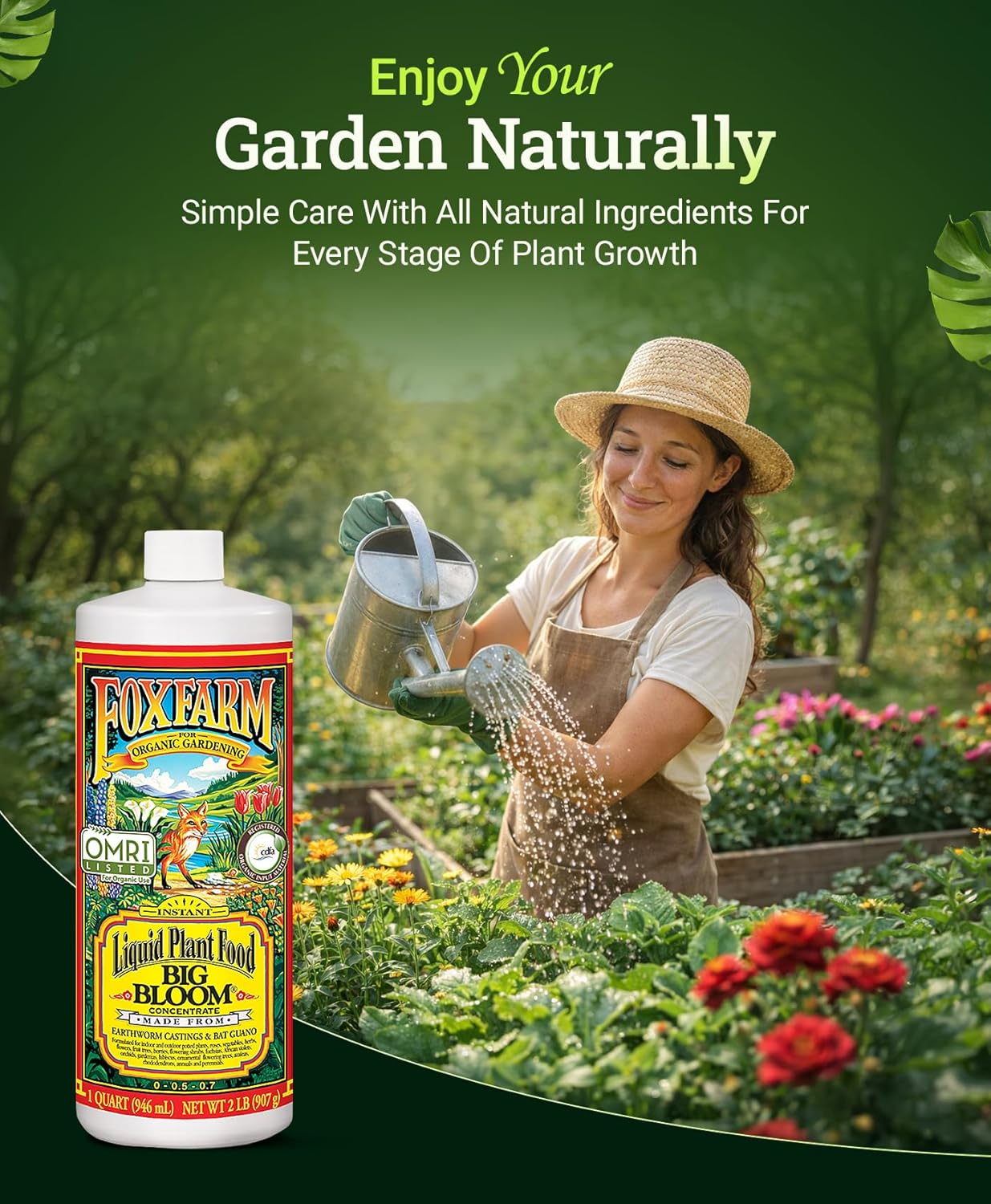 FoxFarm - Big Bloom Plant Food, Liquid Fertilizer Concentrate for Flowers, Fruits, and Vegetables, All Purpose Plant Fertilizer for Indoor & Outdoor Potted Plants, NPK 0-0.5-0.7 (Quart) - Image 3