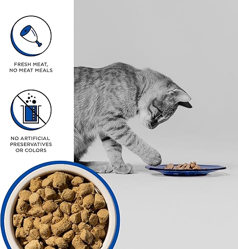 Miniatura 3 de BIXBI Rawbble Alimento liofilizado para gatos, receta de pavo, 3.5 onzas, 94% de carne y órganos, sin rellenos, comida cruda para gatos apta para la