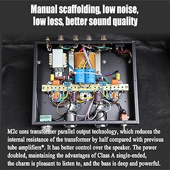 Amazon.com: THYXGS Tube Amplifier, Integrated Stereo Hybrid