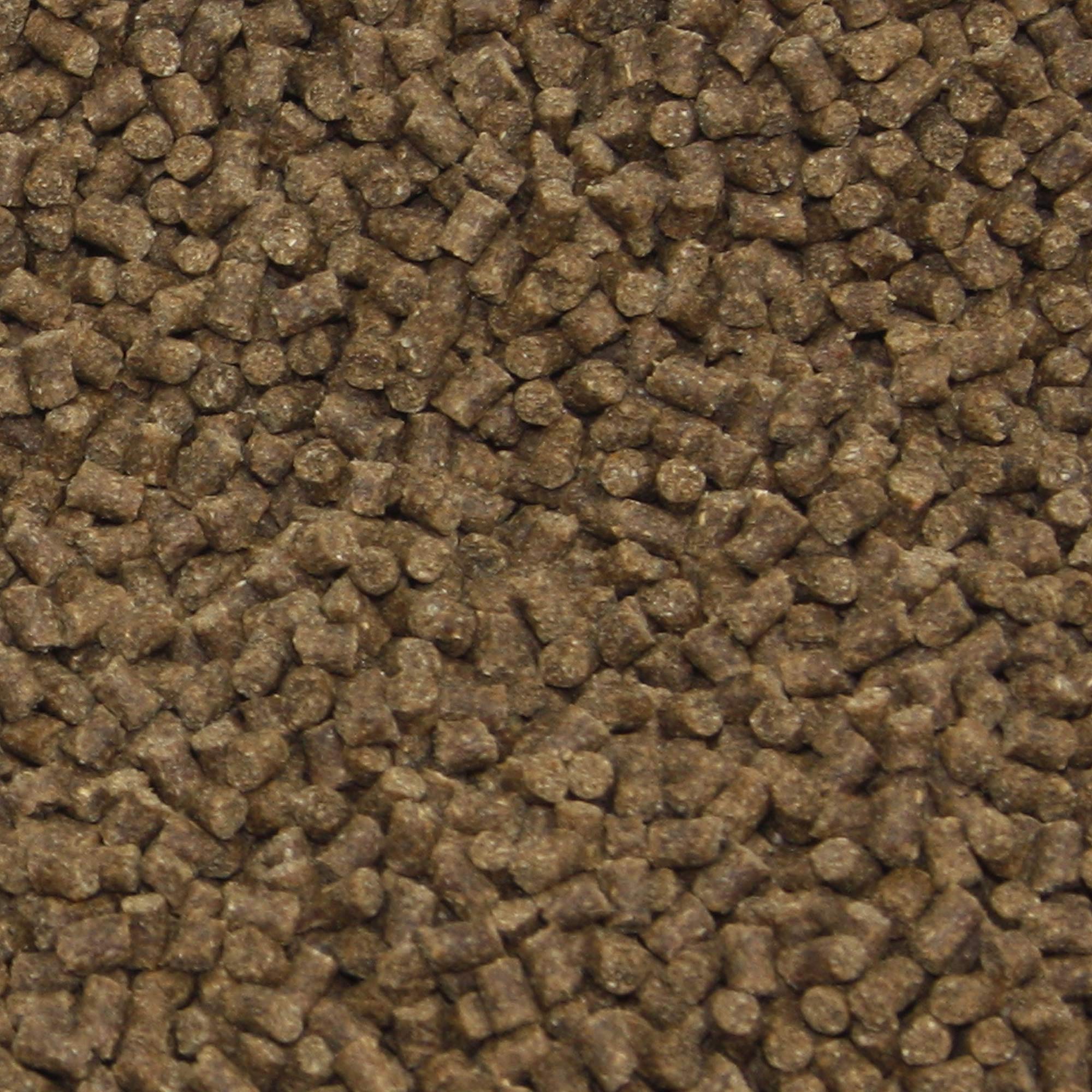 Winterfutter Koi Sinkfutter Tosai Koifutter antibakteriell Monoglyceride Koi Gesundheitsfutter für den Winter Energiefutter arktische Rohstoffe 3mm 5kg Sack