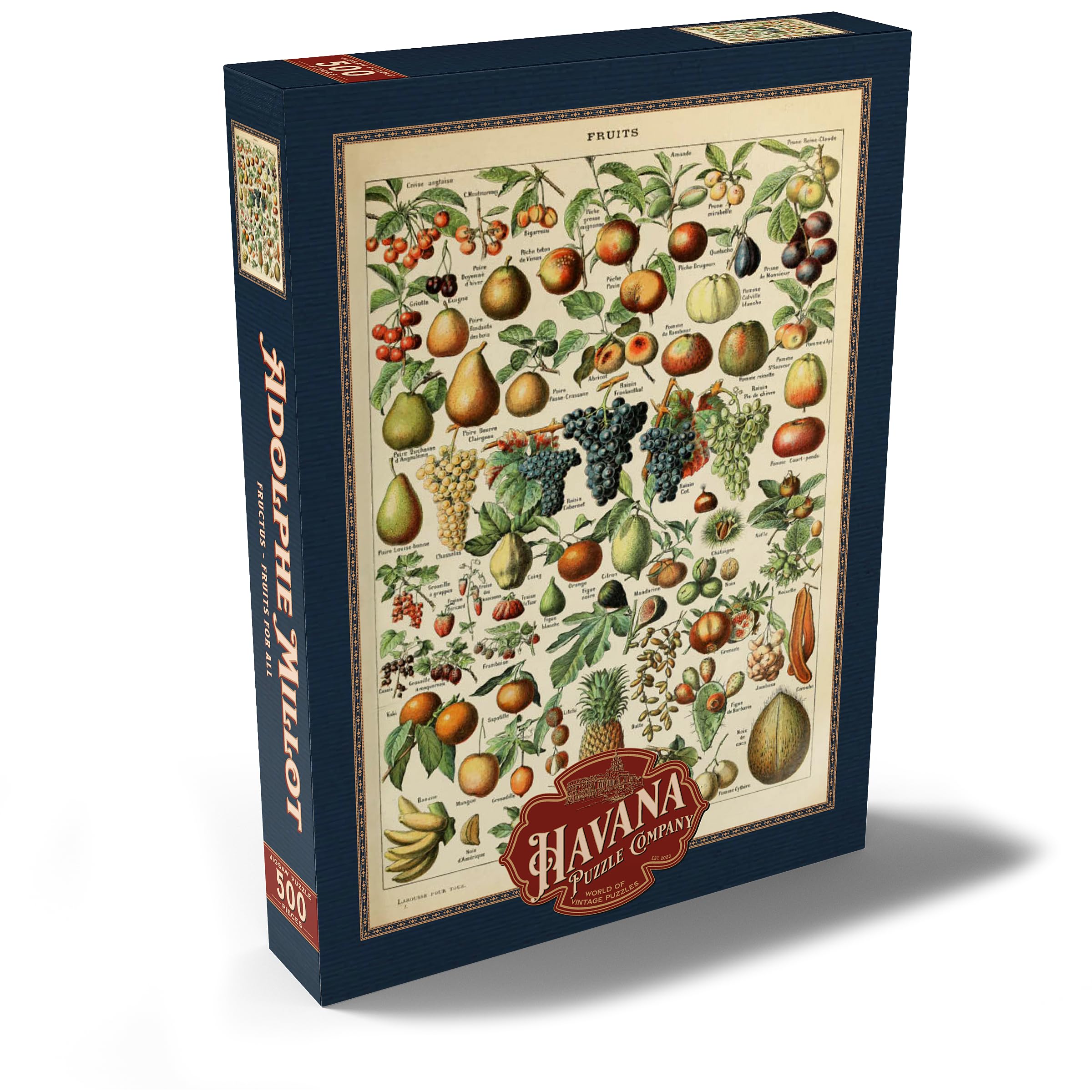 Fructus, Fruits for All Vintage Art Poster, Adolphe Millot, Premium 500 pieces Puzzle - Image 2
