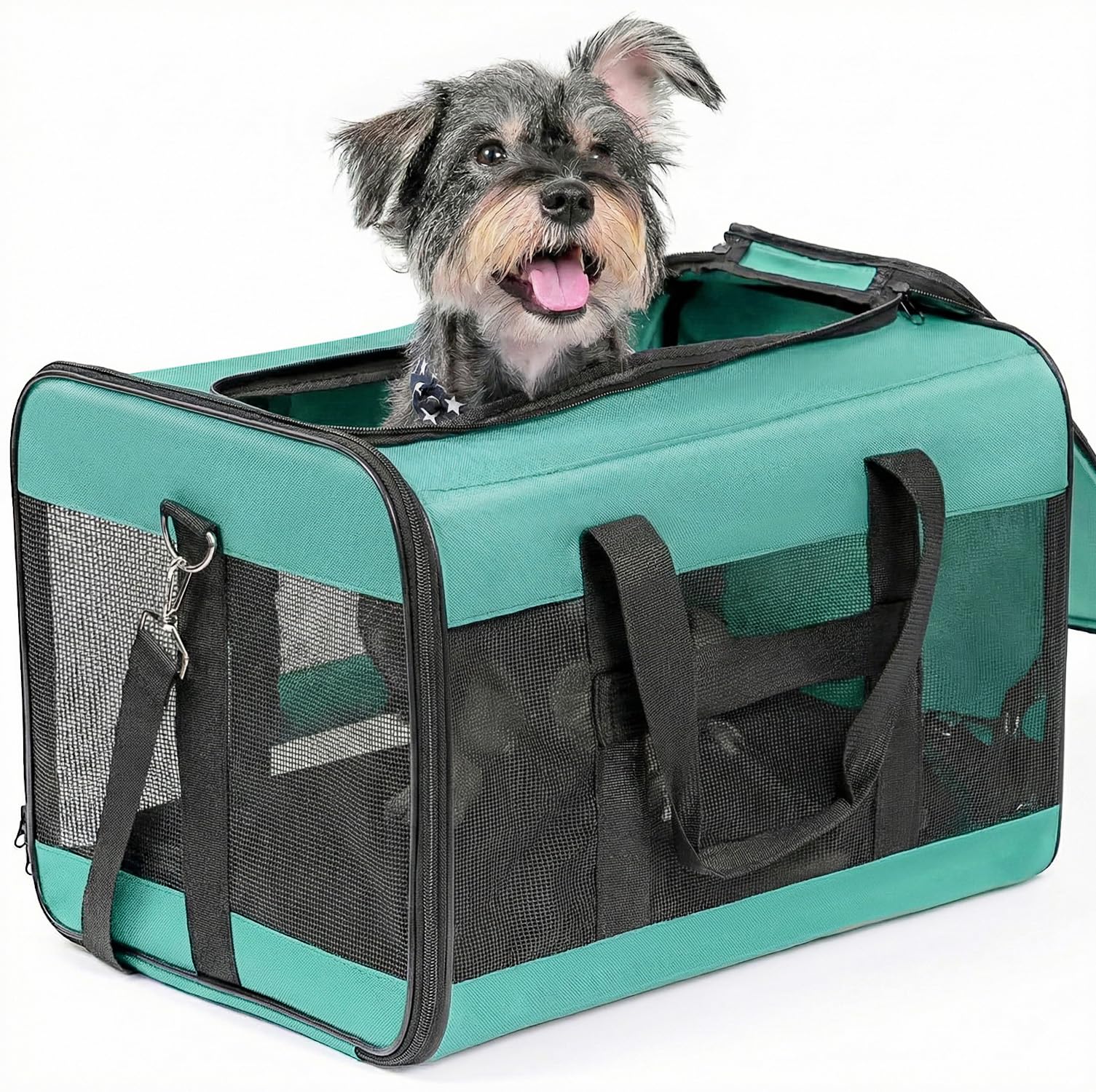 Conlun Dog Carrier Soft Sided, Large Cat Carrier with Inner Safety Leash, Pet Transport Carrier for Large Cats and Medium Dogs up to 10 KG, Collapsible Travel Puppy Carrier Bag -Turquoise, L — image 1