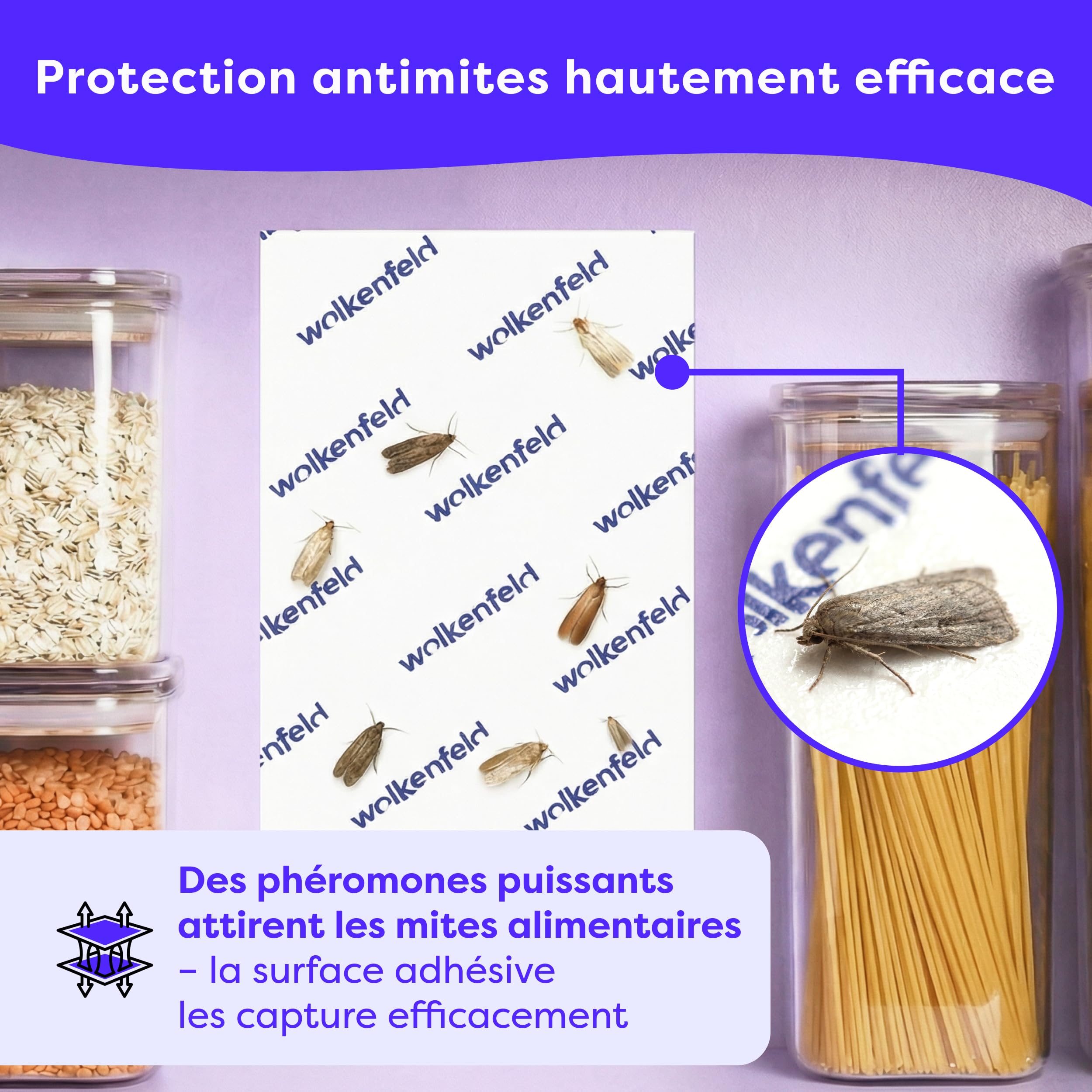 Wolkenfeld Piège à Mites Alimentaires x10 – Anti Mites Alimentaires Phéromone – 10 Pièges – Made in Germany