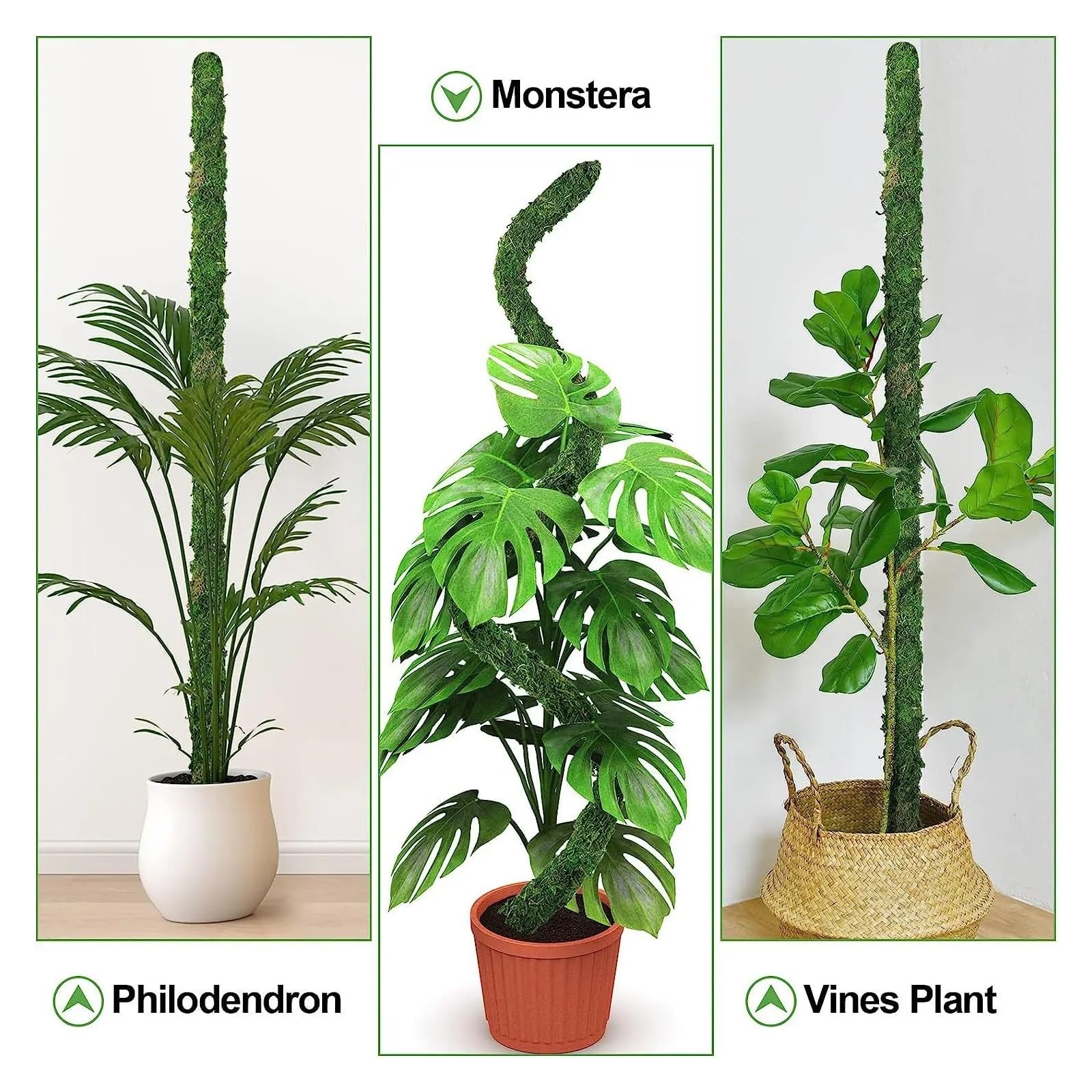 Tuteur Plante Poteau en Mousse Pliable for Plantes, 1 pièce, poteaux Monstera for piquets de Plantes grimpantes for l'intérieur, Support