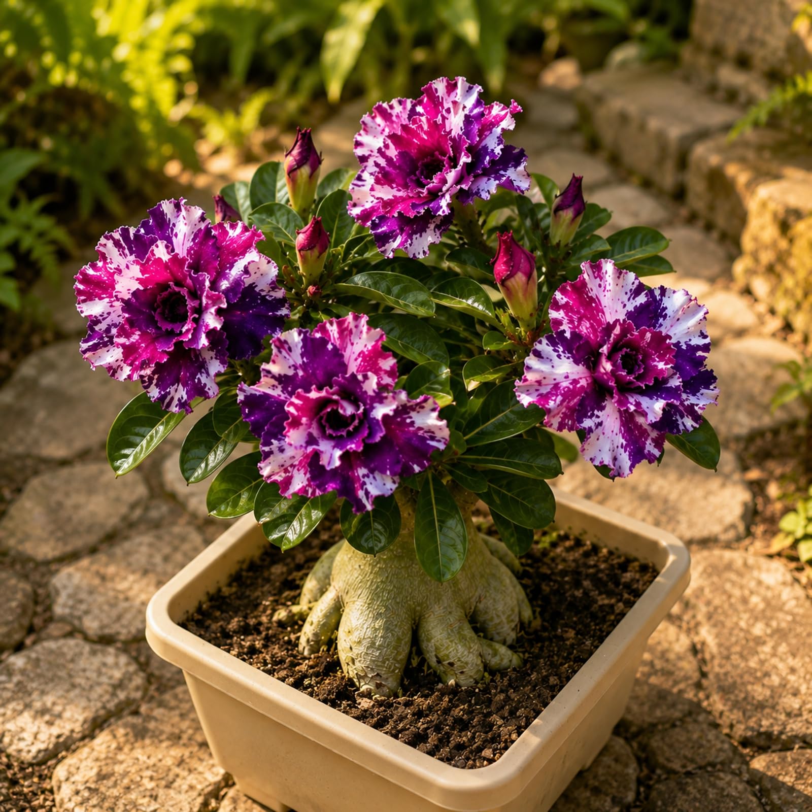 Exotisch-elegante Wüstenrose – meisterhaftes Kunst-Design, das exklusive Geschenk für