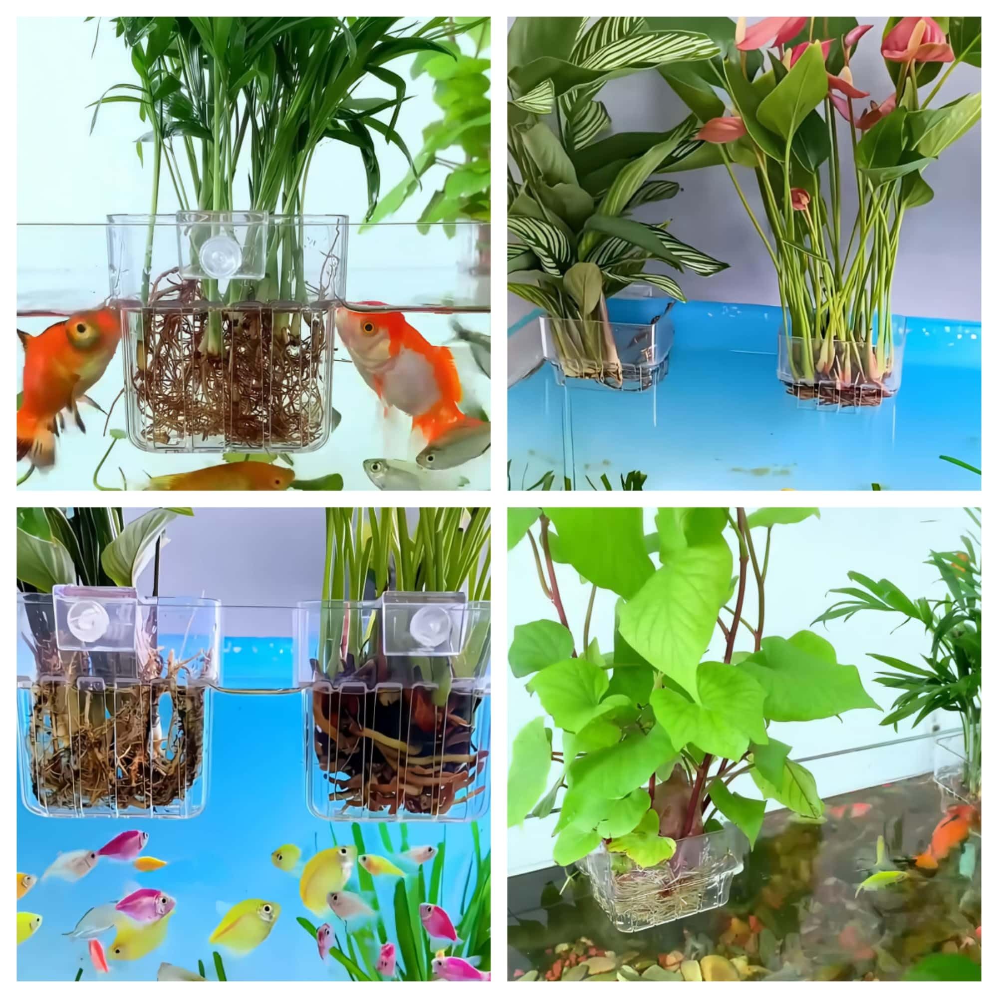 Aquarium Plant Holders - 2 Pack Top Hanging Fish Tank -3