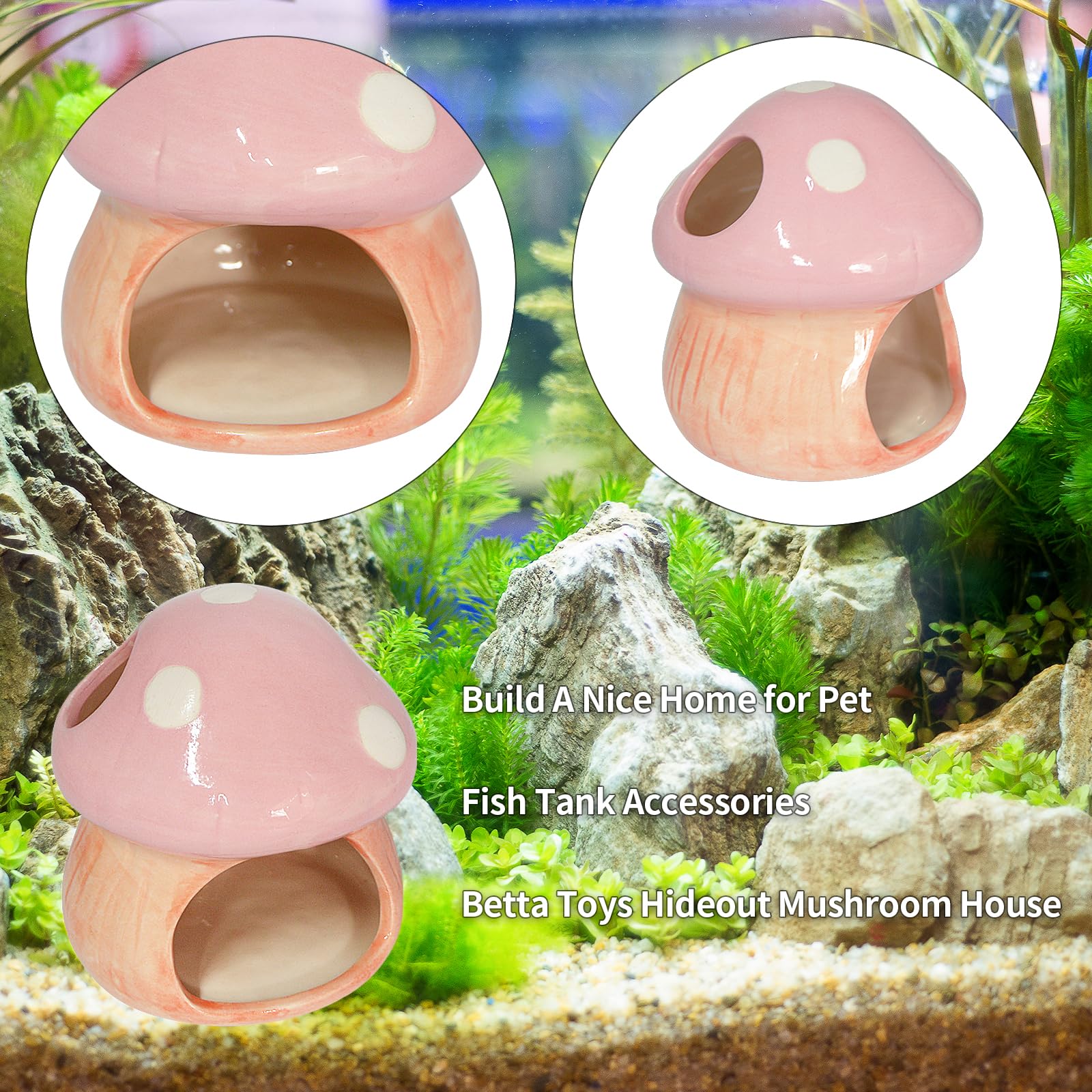 fish tank accessories pets at home Mairuker Decor, Cute Mushroom House Aquarium Decorations Accessory, Betta Bed Fish Tank Caves for Goldfish Shrimp Toad Hideout (Pink) : Pet Supplies aquarium decor for planted tank ✓ Looking for new Measuring 19 x 19 Daiwa Reel Size:5000 - 6.2:1