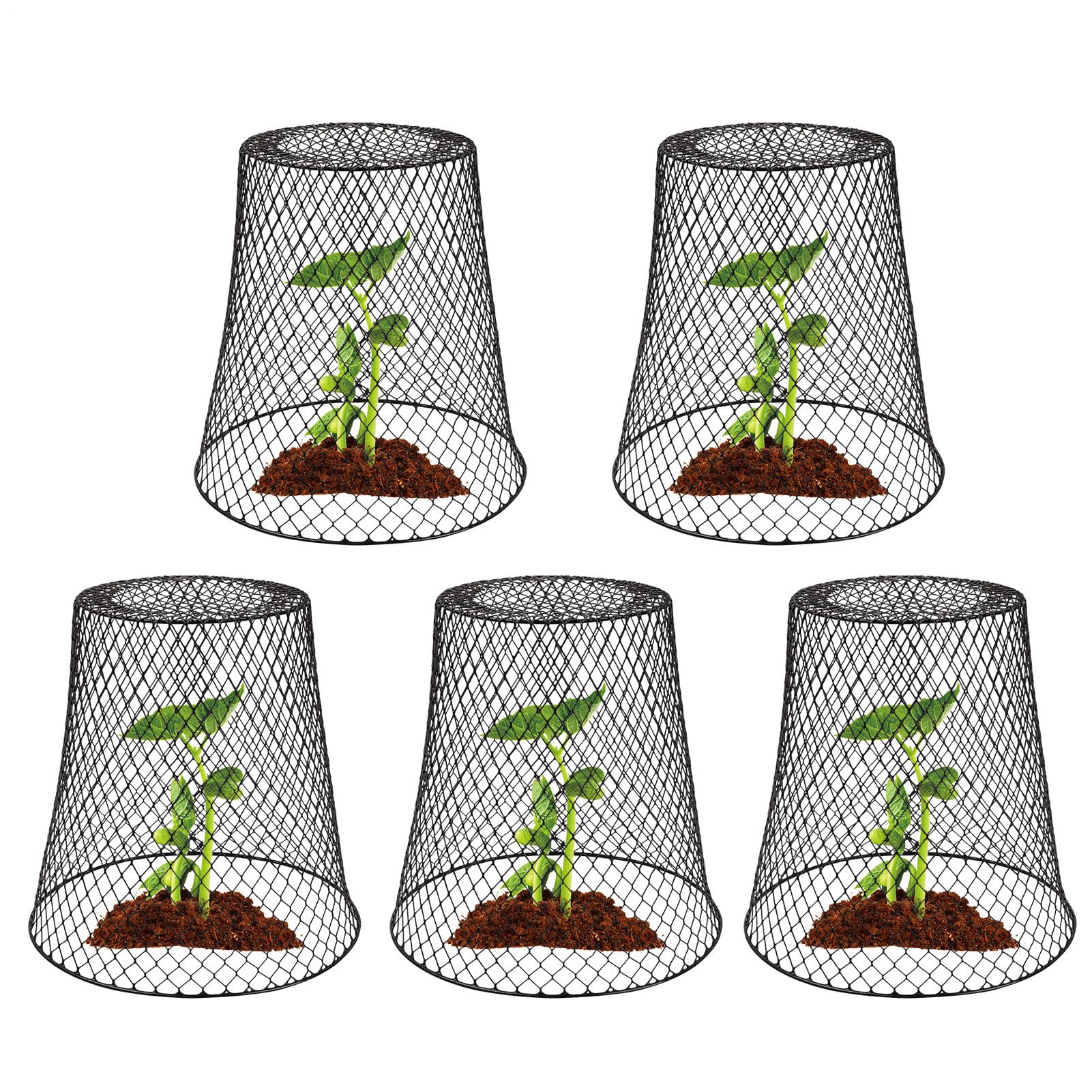 Cloche Malla Gallinera Protector Plantas 5 Piezas Barrera, Valla y Jaula a