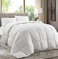 Chezmoi Collection Queen Down Alternative Comforter All Season - Hypoallergenic Plush Microfiber Duvet Insert, Box Stitched Full/Queen White
