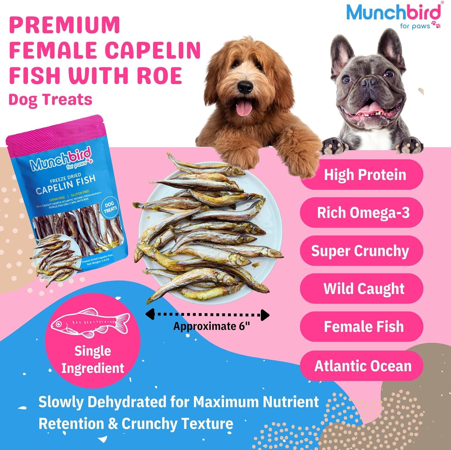 Munchbird Freeze Dried Capelin Whole Fish with Roe Cat Dog Treats - Single Ingredient, High Protein & Omega 3 for Skin and Coat, Grain-Free (100g) Wild-Caught