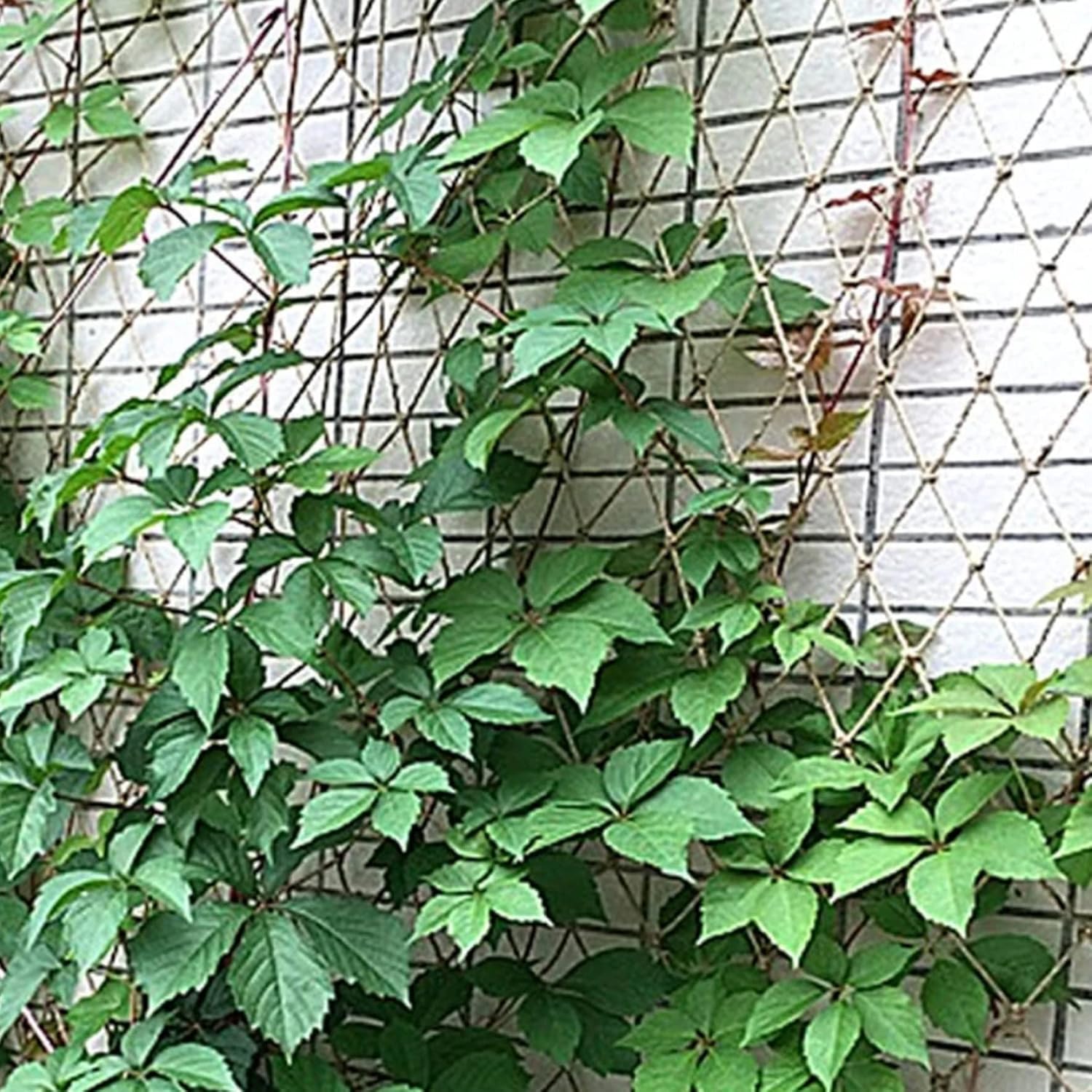 Garden Plant Climbing Net, Jute Plant Support Netting Jute Garden Netting for Plants Natural Garden Trellis Twine Net for Pea Bean Climbing Vegetable 79x394 in