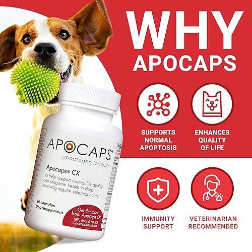 Miniatura 2 de apocaps CX apoptogen Fórmula para perros (90 Cápsulas), paquete de de 1