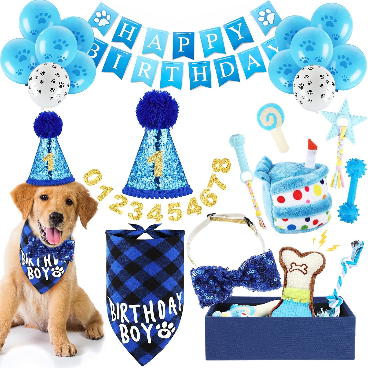 RoundFunny 23 Pcs Dog Birthday Toy Set Cake Teething Squeak Interactive Puppy Birthday Party Supplies with Box for Small Medium Dog(Blue)