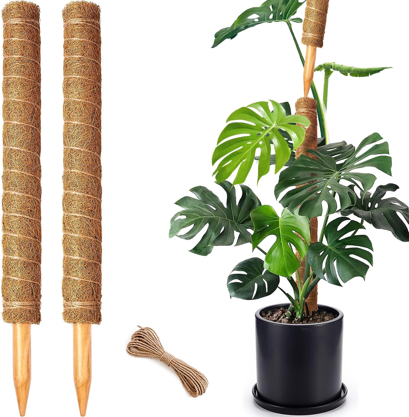 2 Pack 21 Inch Moss Poles, Stackable Moss Pole for Plants Monstera, 37 Inch Tall