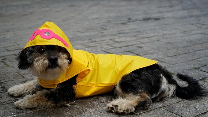 Capa de Chuva Pet para Cachorro