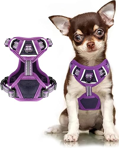 Miniatura 1 de Perro Harmess (morado, XS)