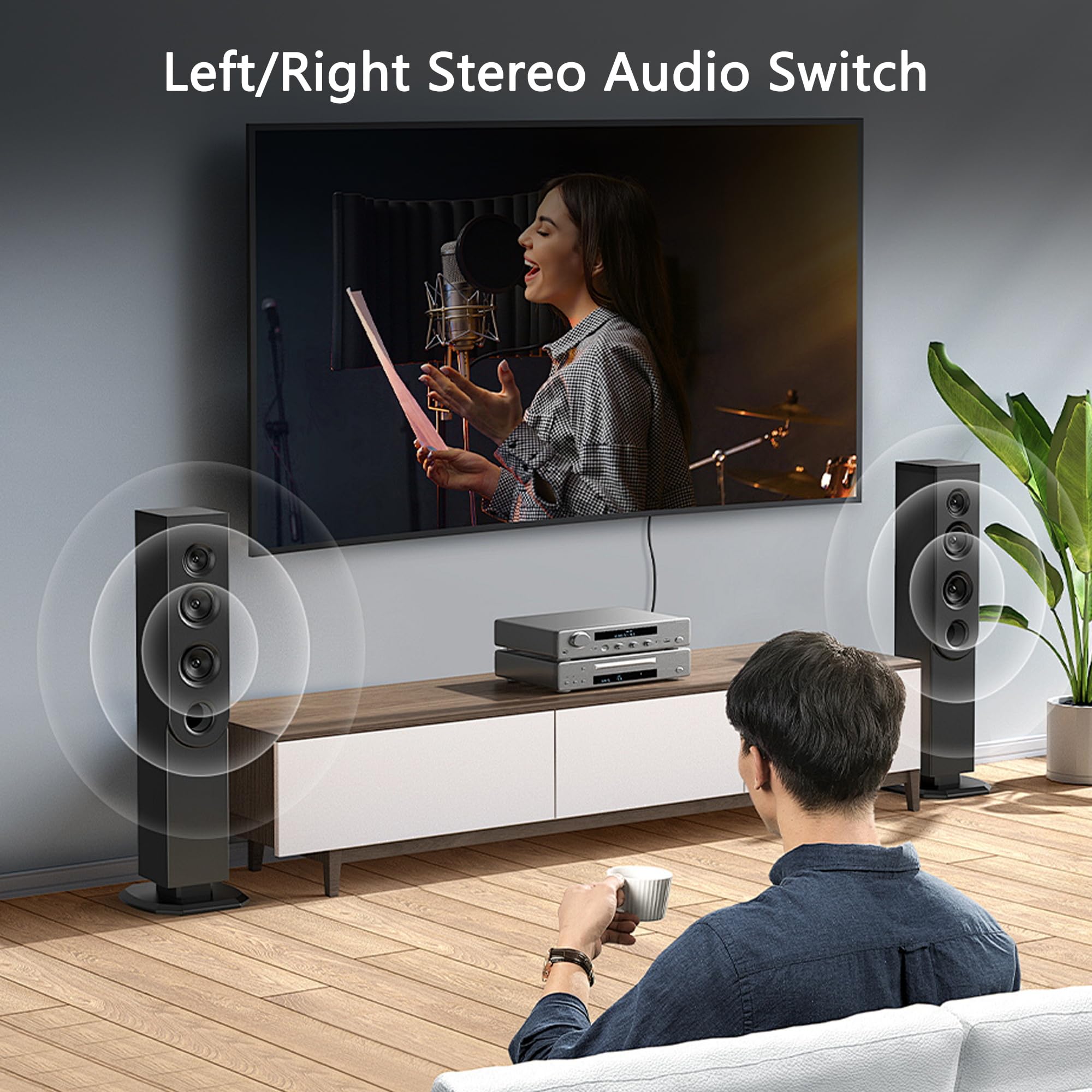 GINTOOYUN RCA Audio Button Switcher 2 In 4 Out o 4 In 2 Out R/L Stereo Audio Switcher con pulsante Mute e manopola di regolazione del volume (RCA)