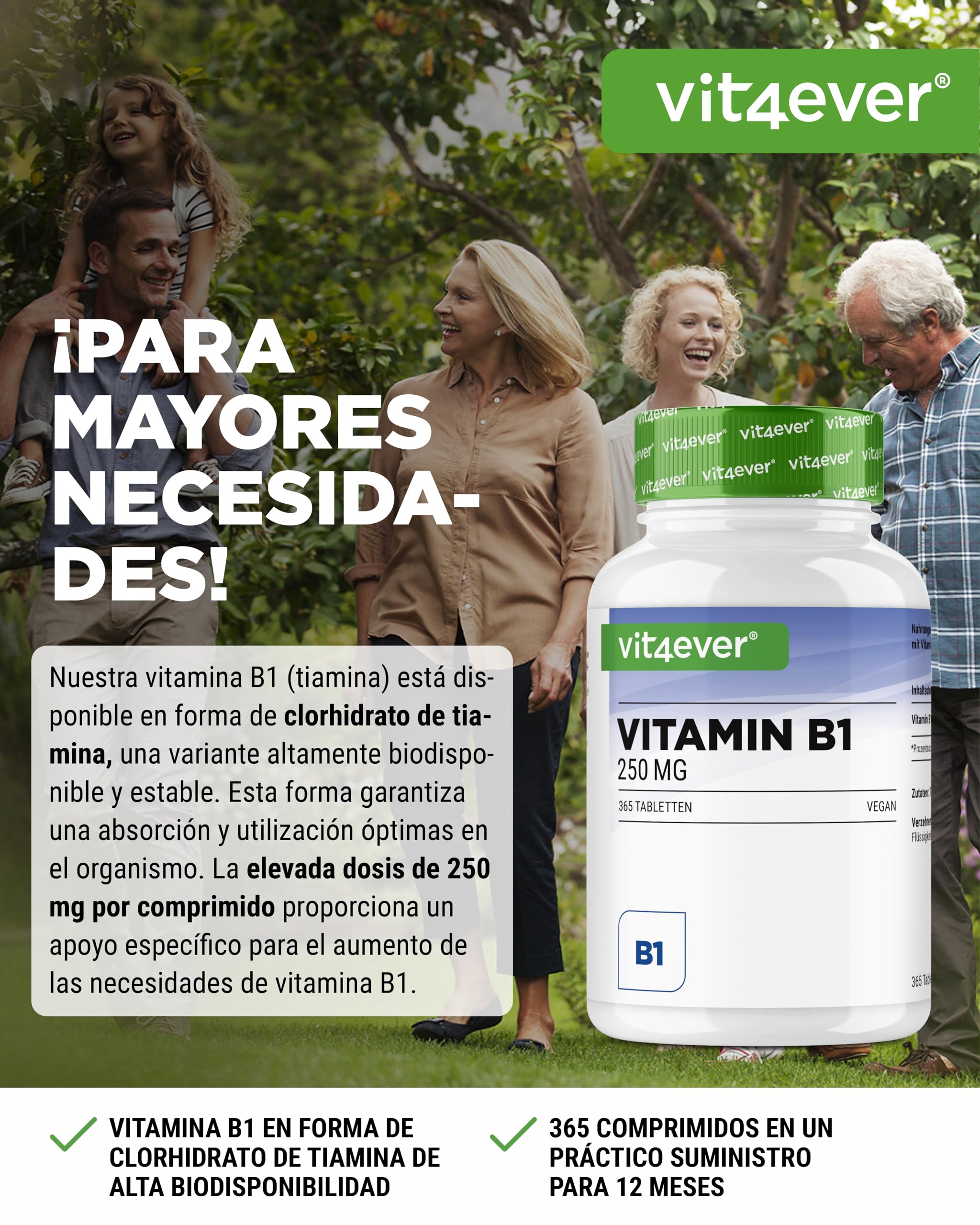 Vitamina B1 (Tiamina) - 250 mg - 365 Comprimidos - Premium: Clorhidrato de Tiamina - Alta biodisponibilidad - Suministro para 12 meses - Sin aditivos no deseados - Vegano