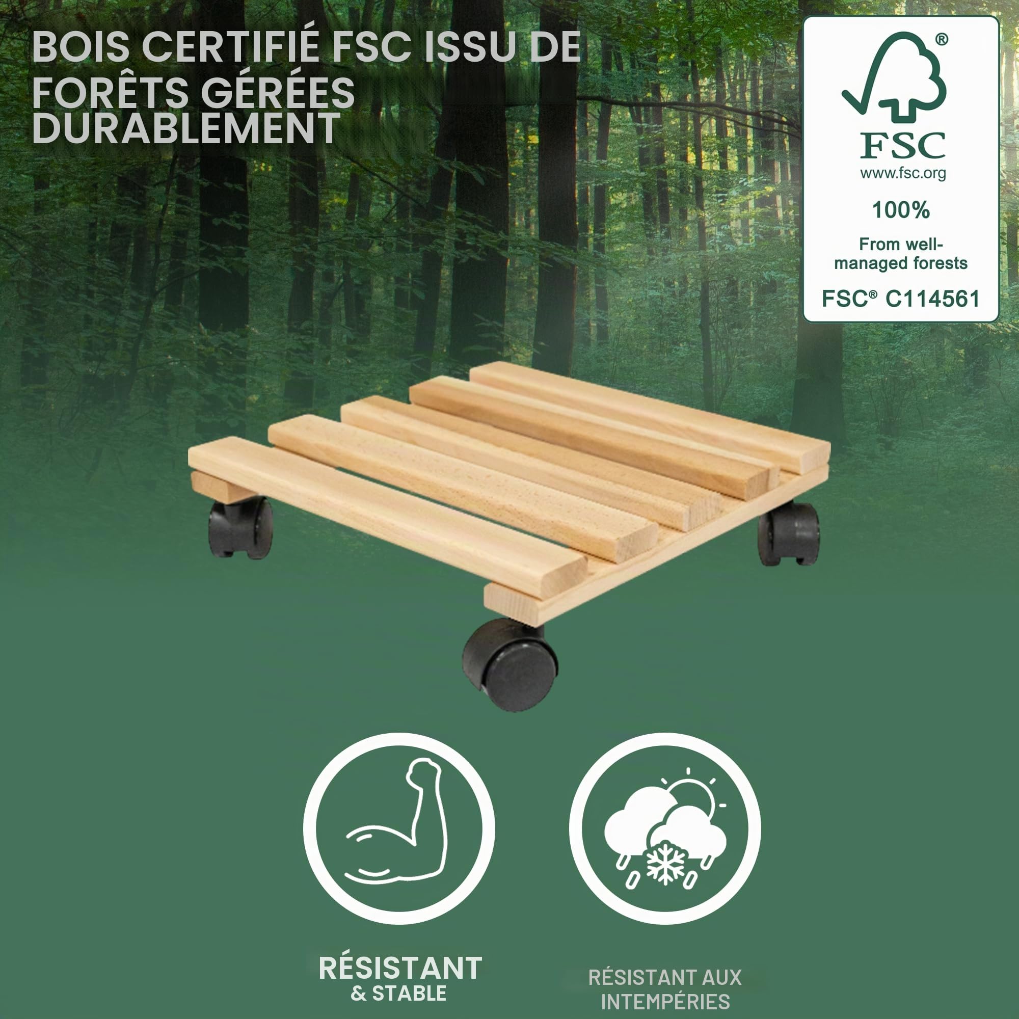 ITA 10x Supports pour Plantes avec Roues en Bois de Hêtre - Charge Max. 120 kg - 5X Ronds Ø 30 cm & 5X Carrés 30x30 cm - pour Pots & Meubles - Intérieur & Extérieur - Fabriqué dans l'UE