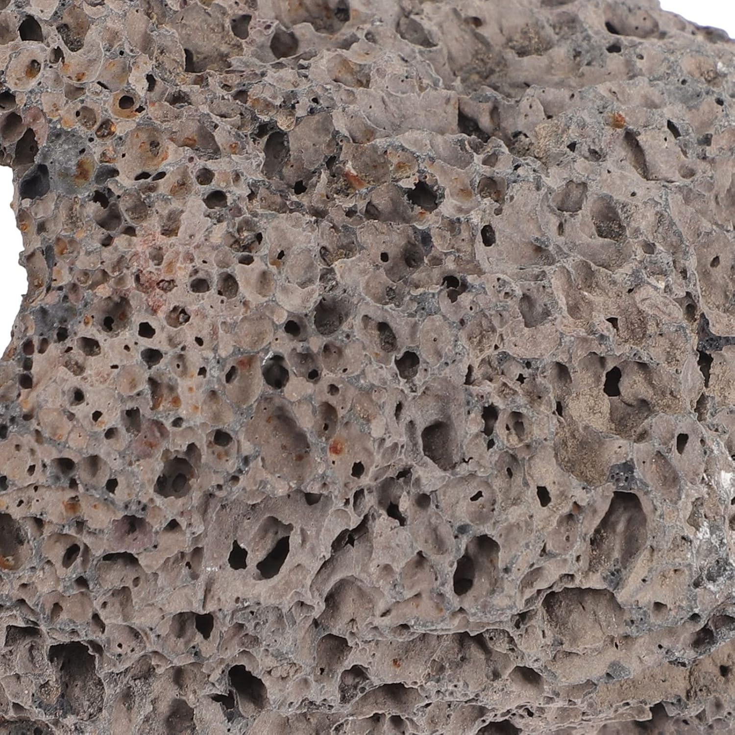jojofuny 10pcs Aquarium Stone Decor Volcanic Rock Ornaments for Fish Tank Plant Fixer Aquarium Decoration Provides Shelter and Aquatic Environments