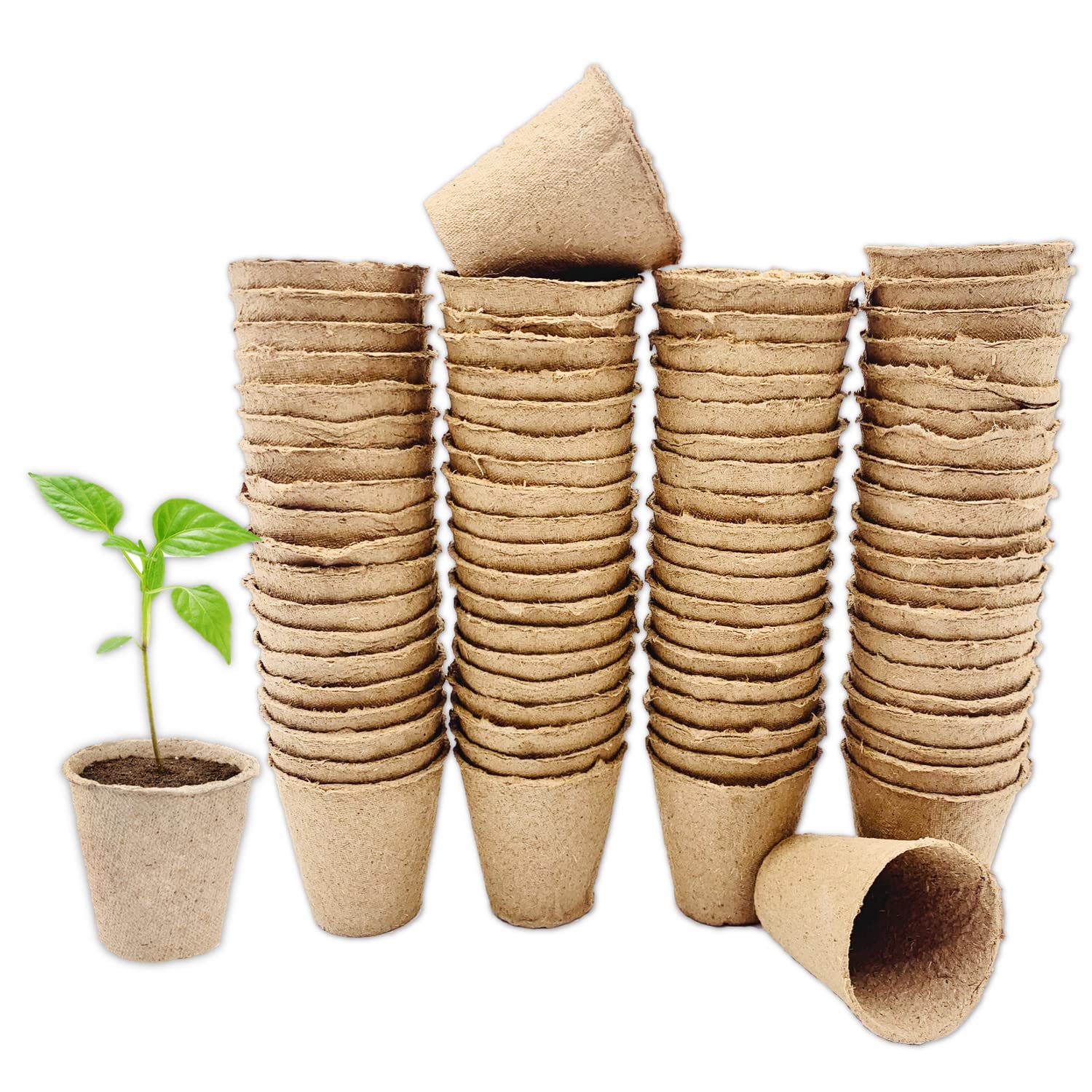 KRONLY Pack of 80 biodegradable plant pots, diameter 6 cm, round seed pots for seedlings