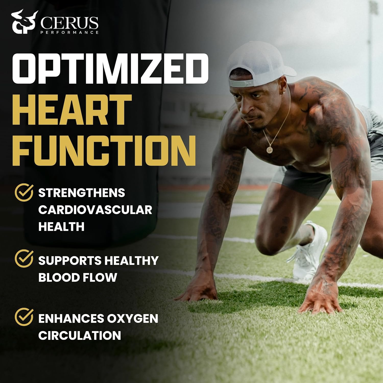 Cerus Performance Flow Pro Stimulant-Free Endurance Pre-Workout – Boosts Stamina, Supports Heart Health with Natural Herbs, Vegan-Friendly - 4 Fl Oz