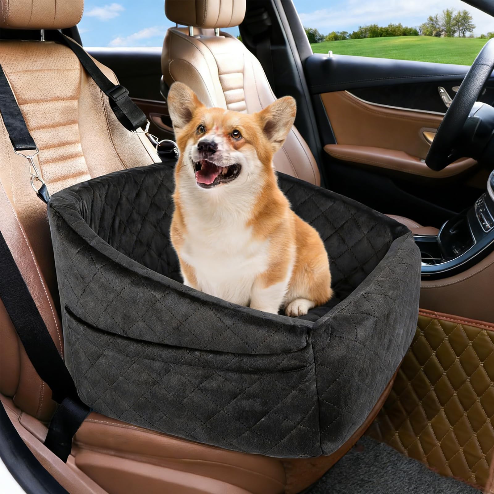 Chien avec ceinture d'appui-tête et poches latérales pour plus de confort et de sécurité