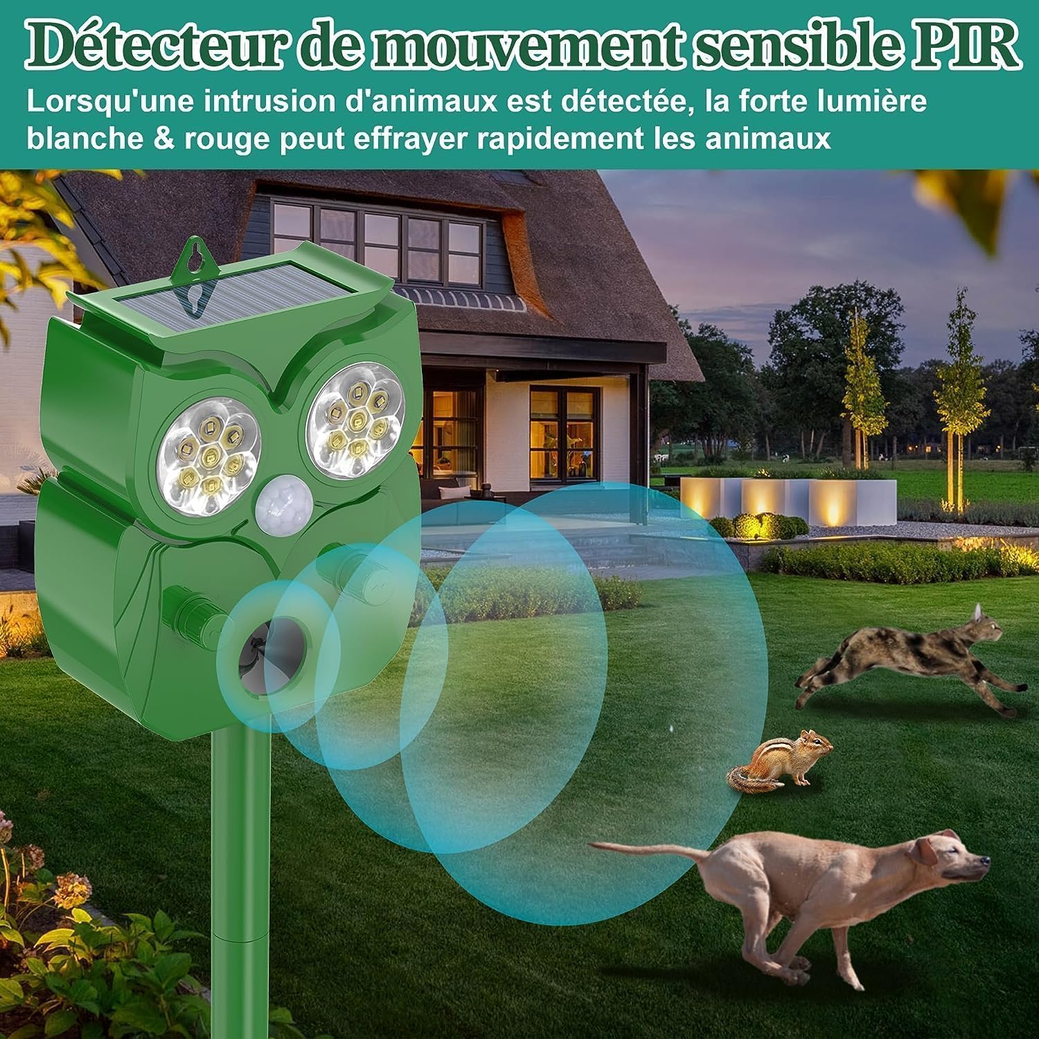 Repulsif Chat Ultrason 2 Pièces, Étanche IP65, Répulsif Chat Fréquence Réglable pour Repousser Les Chats errants, Pigeons, Cerfs et Autres Animaux