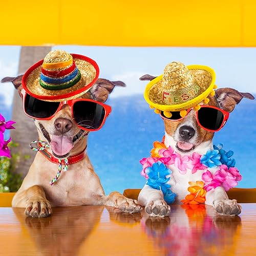 Miniatura 4 de Diadema con sombrero de Cinco de Mayo, 36 piezas con flecos de bola, mini sombrero mexicano, disfraz de fiesta para decoraciones temáticas