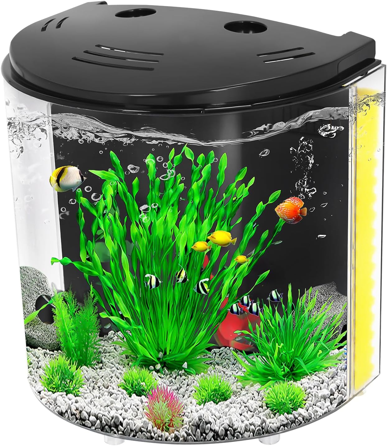 AQUANEAT Fish Tank, 1.2 Gallon Aquarium, Small Betta Fish