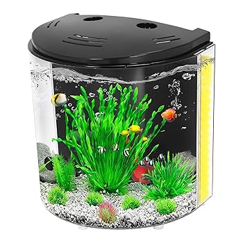 Amazon.com : AQUANEAT Fish Tank, 1.2 Gallon Aquarium, Small
