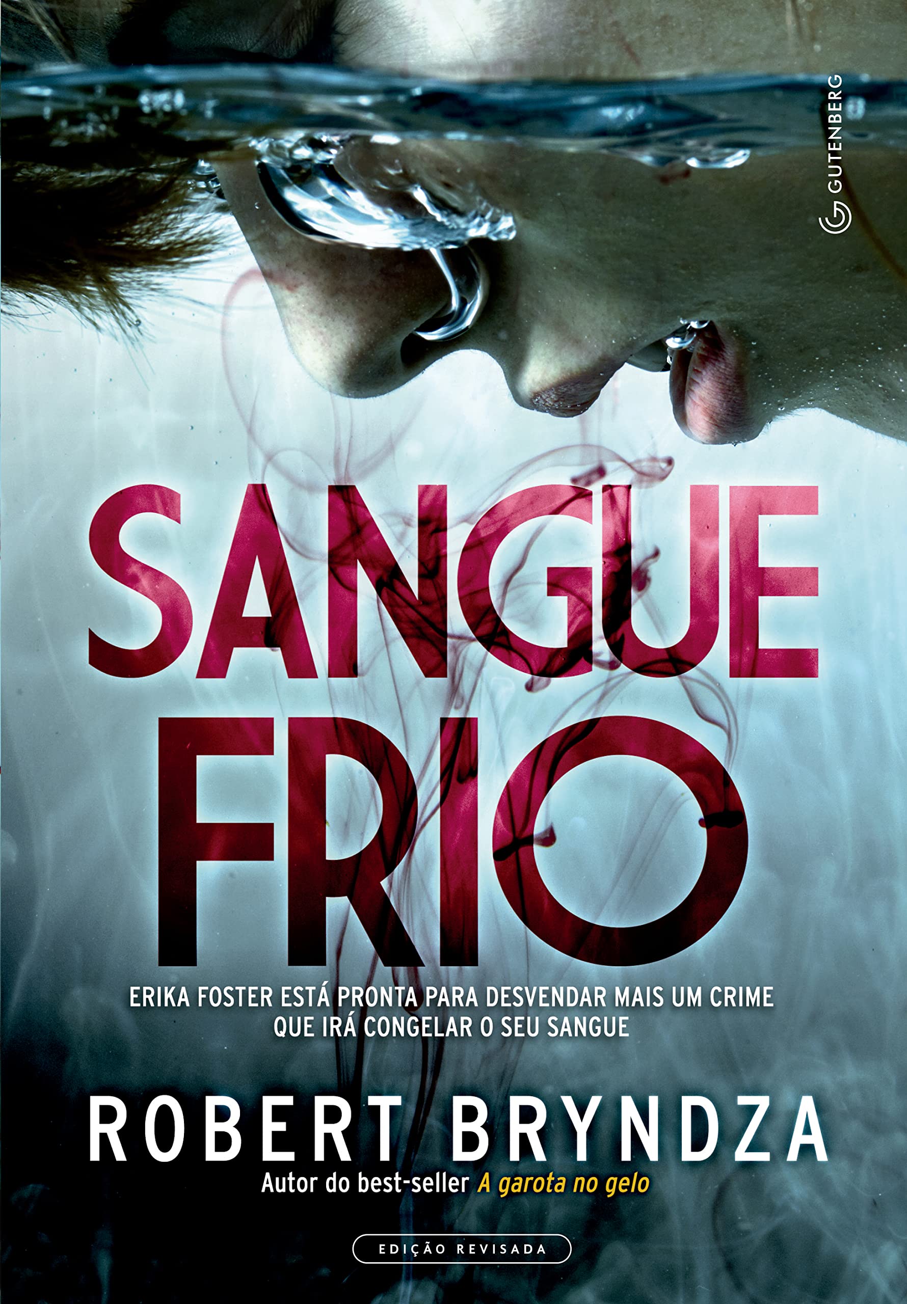 Sangue Frio Erika Foster 5 pour vos moments de lecture en voyage