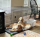 Review Image by His Wife & Their Momma His Wife & Their Momma