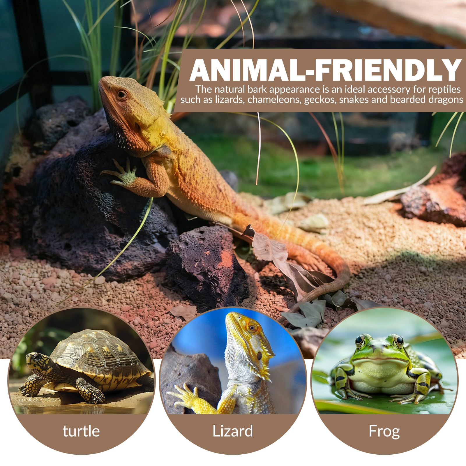 Lot de 3 écorces de liège pour terrarium 15 x 30 cm - Décoration d'arbre - Plaque de fond pour reptiles