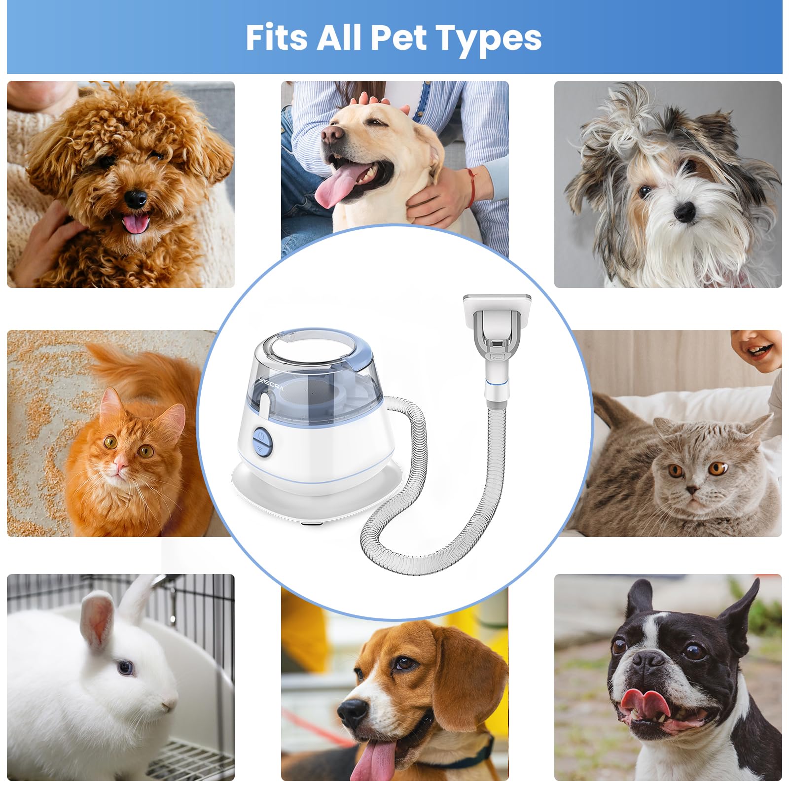 YISORA Kit per toelettatura e aspirapolvere per animali domestici, Tosatrice per Cani e gatti a pelo lungo Professionale, 5 Strumenti per la toelettatura Per la depilazione di cani e gatti