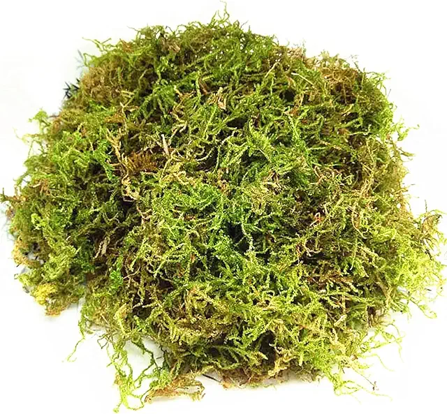 Musgo Natural Seco 200g - Sustrato para Terrarios, Orquídeas y Bonsáis