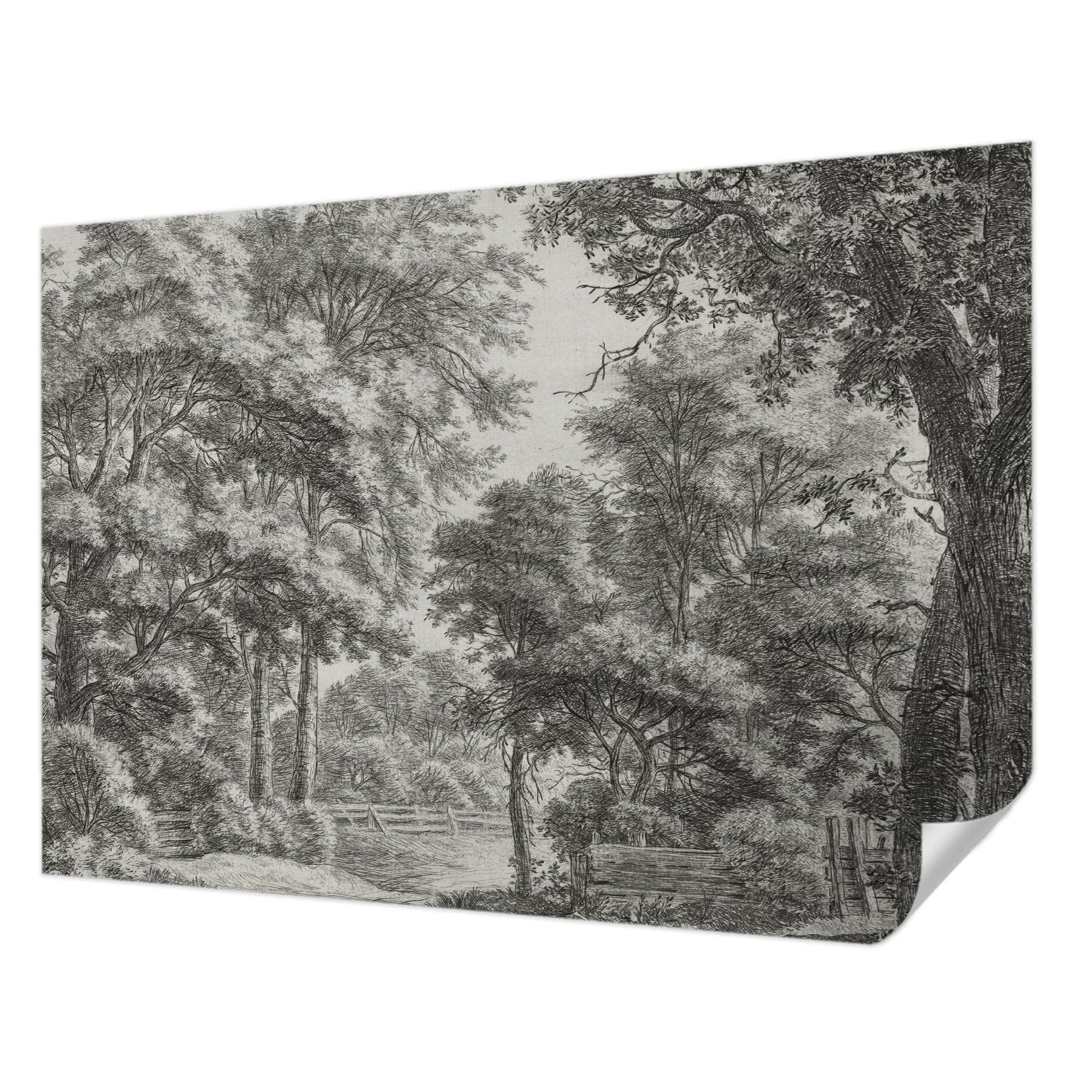 Décor mural adhésif paysage forestier 208x146 cm Tulup