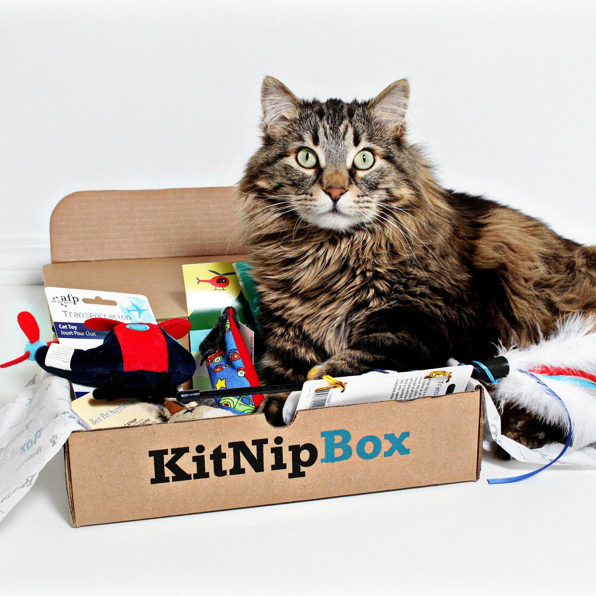 Amazon.com: KitNipBox | Multi-Cat Dietary Box