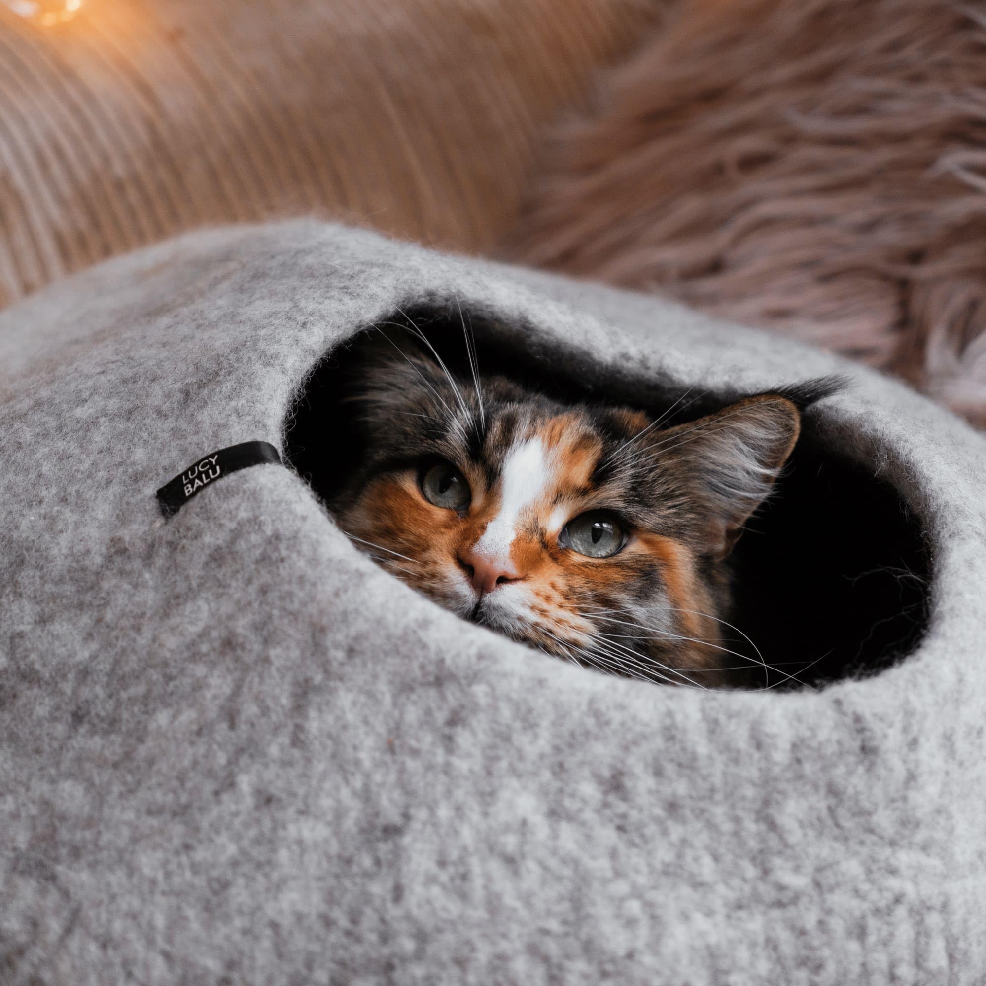 LucyBalu® Catcave Cuccia per gatti in feltro di lana I Grigio chiaro