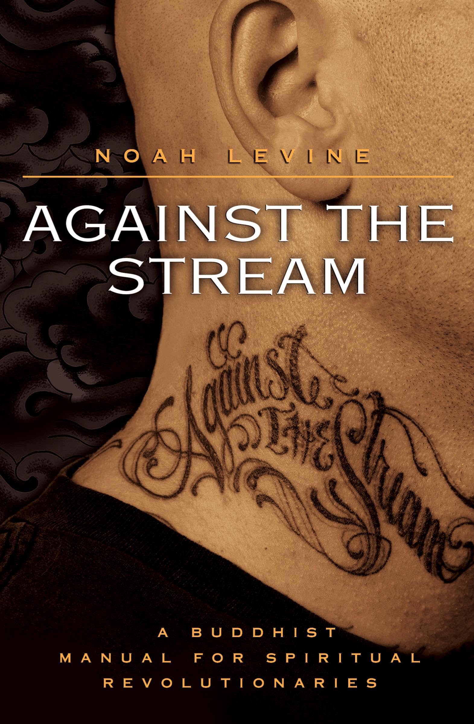 Against the Stream: A Buddhist Manual for Spiritual Revolutionaries Paperback – 1 May 2007