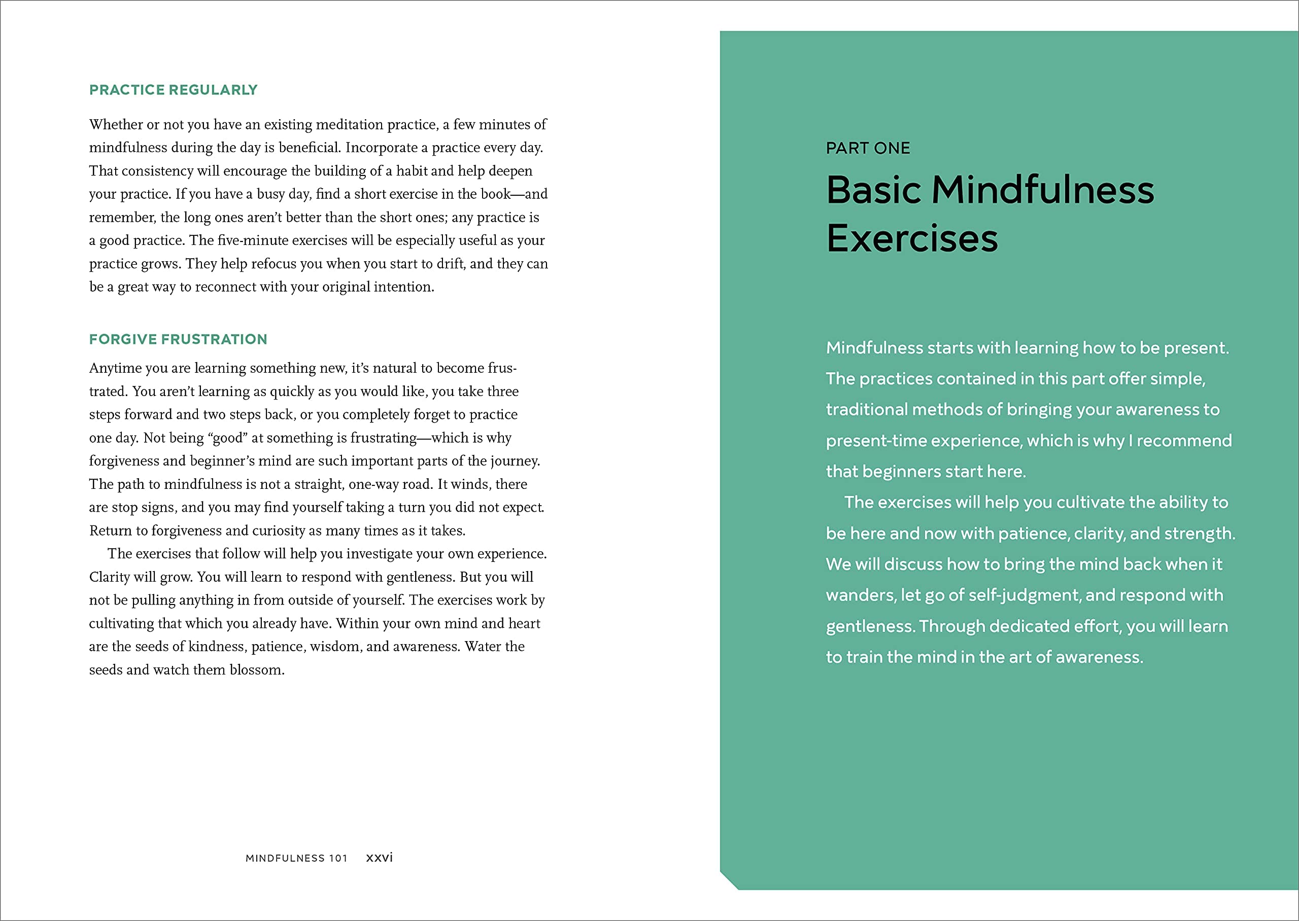 Practicing Mindfulness: 75 Essential Meditations 1