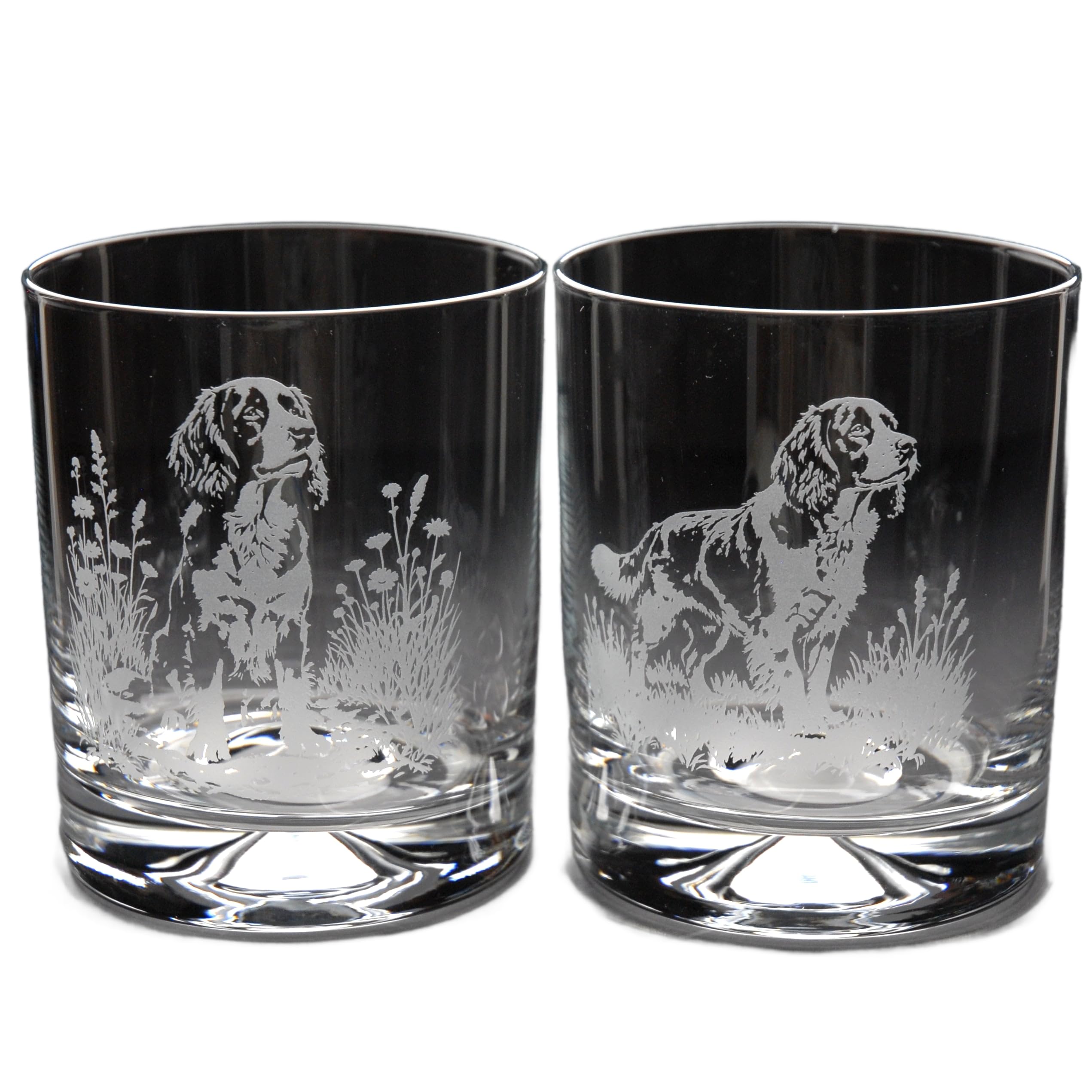 GLYPTIC Glass Art Springer Spaniel Dog Placement Hand Etched/Engraved Whiskey Tumbler Glass